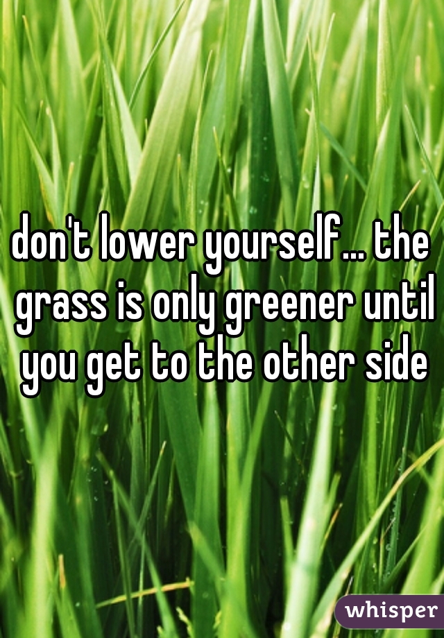 don't lower yourself... the grass is only greener until you get to the other side