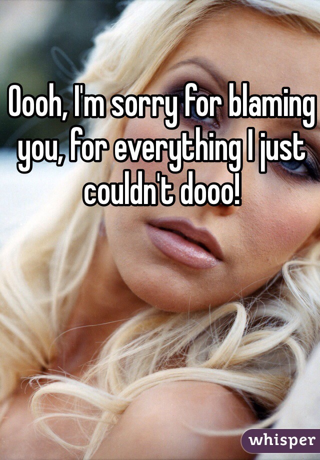 Oooh, I'm sorry for blaming you, for everything I just couldn't dooo!