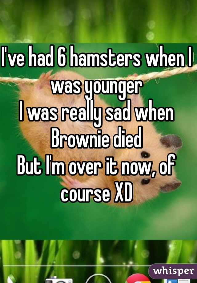 I've had 6 hamsters when I was younger
I was really sad when Brownie died
But I'm over it now, of course XD