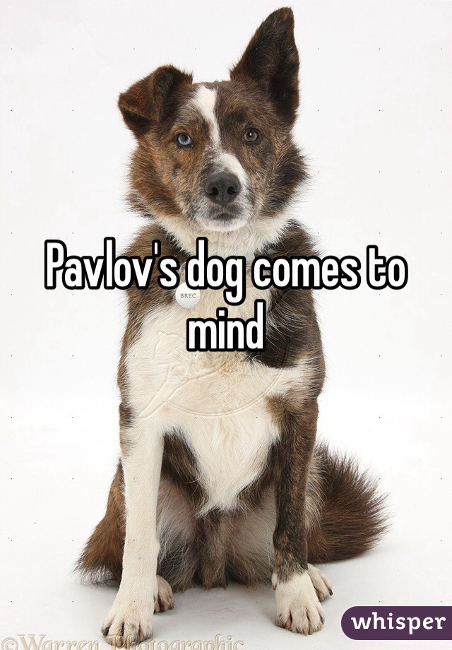 Pavlov's dog comes to mind 