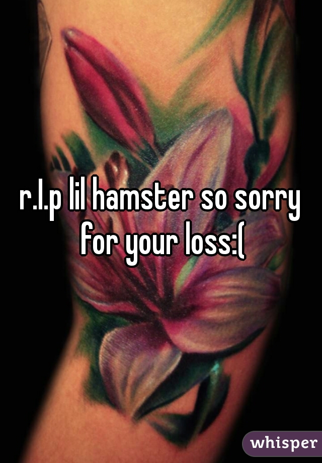 r.I.p lil hamster so sorry for your loss:(