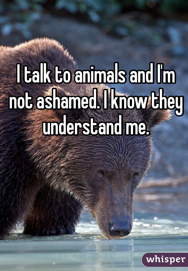 I talk to animals and I'm not ashamed. I know they understand me. 