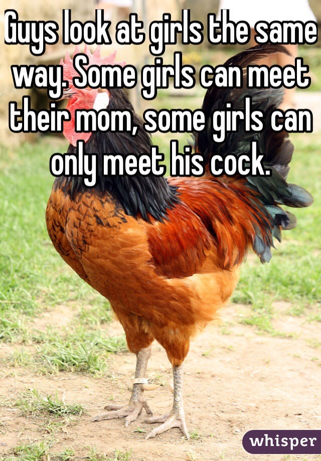 Guys look at girls the same way. Some girls can meet their mom, some girls can only meet his cock. 