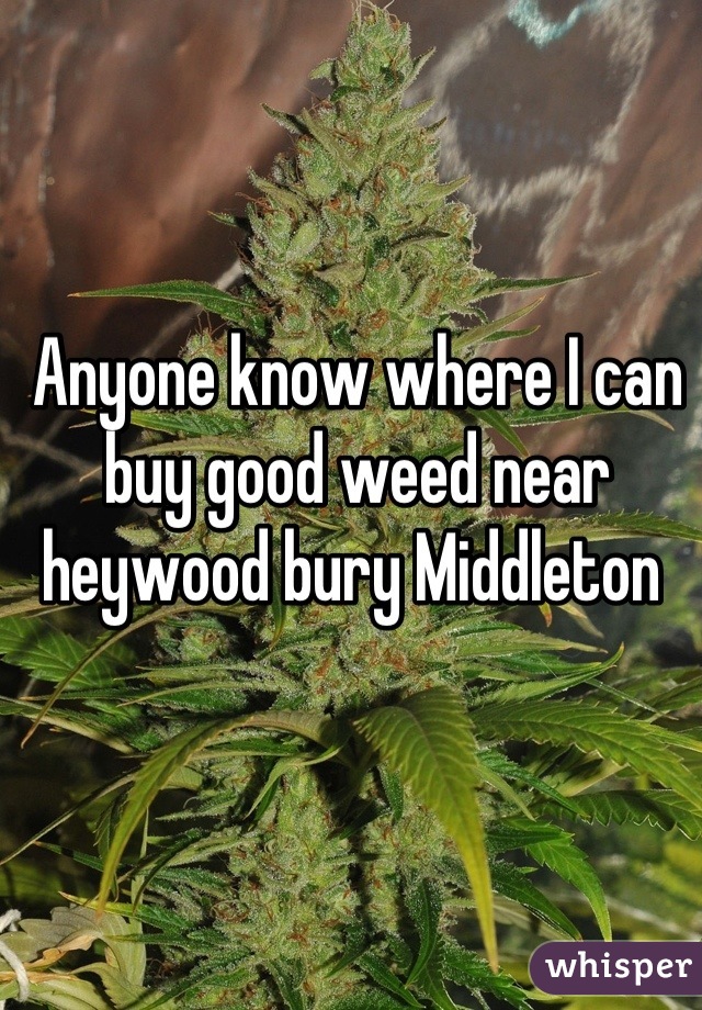 Anyone know where I can buy good weed near heywood bury Middleton 