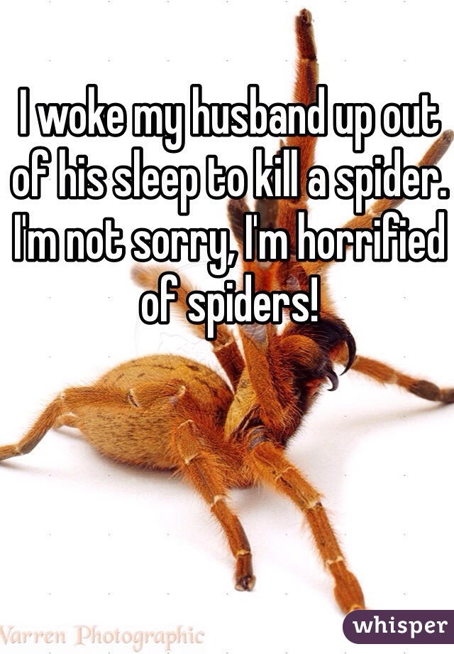 I woke my husband up out of his sleep to kill a spider. I'm not sorry, I'm horrified of spiders!