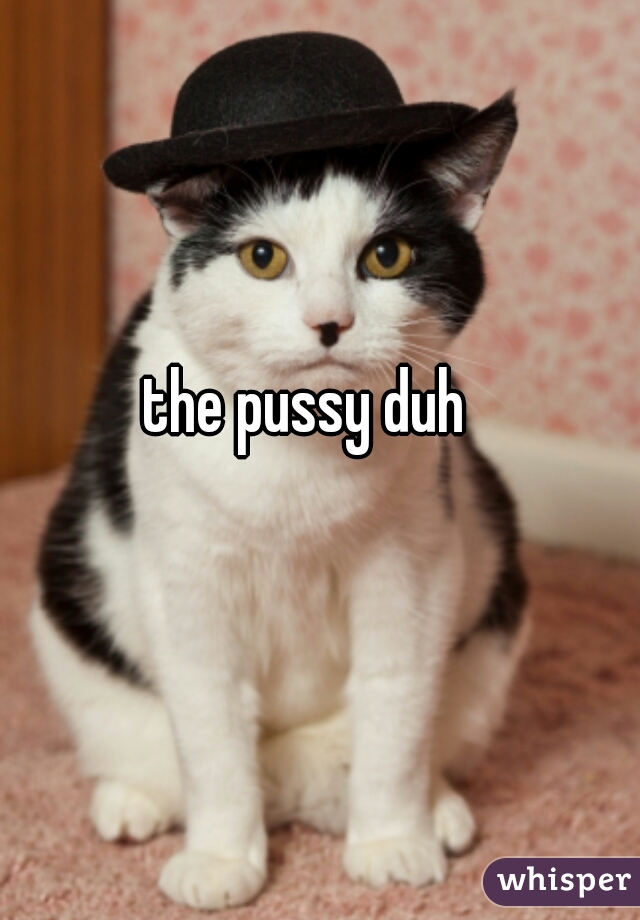 the pussy duh 