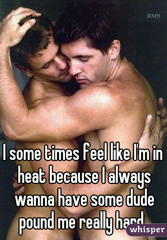 I some times feel like I'm in heat because I always wanna have some dude pound me really hard. 