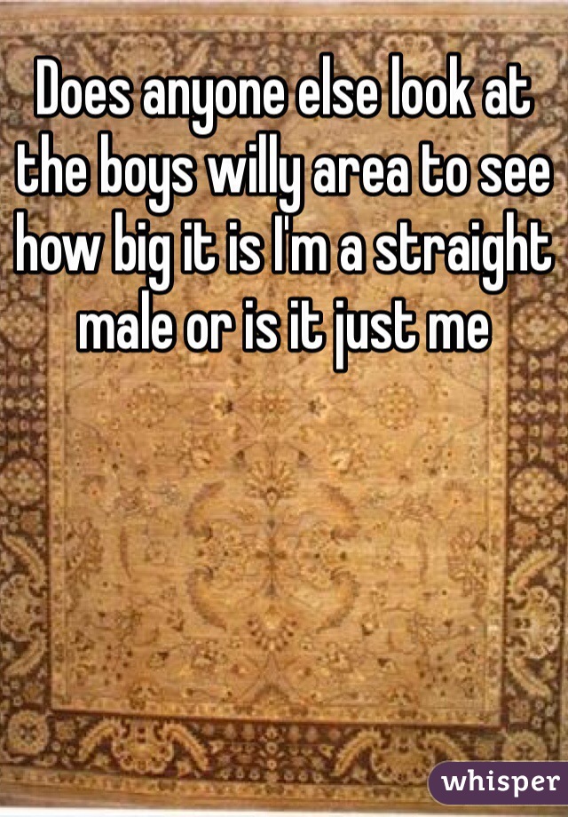 Does anyone else look at the boys willy area to see how big it is I'm a straight male or is it just me