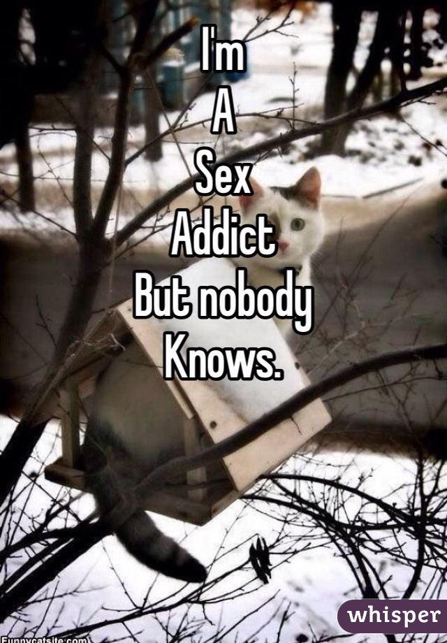 I'm
A
Sex
Addict
But nobody
Knows.