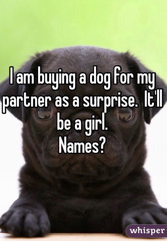 I am buying a dog for my partner as a surprise.  It'll be a girl. 
Names? 