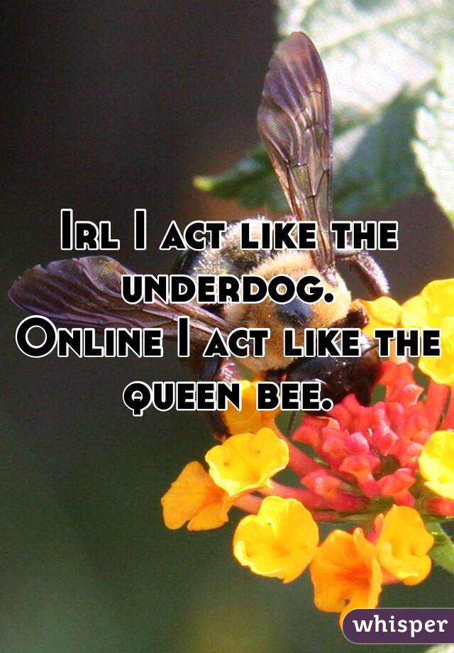 Irl I act like the underdog.
Online I act like the queen bee.