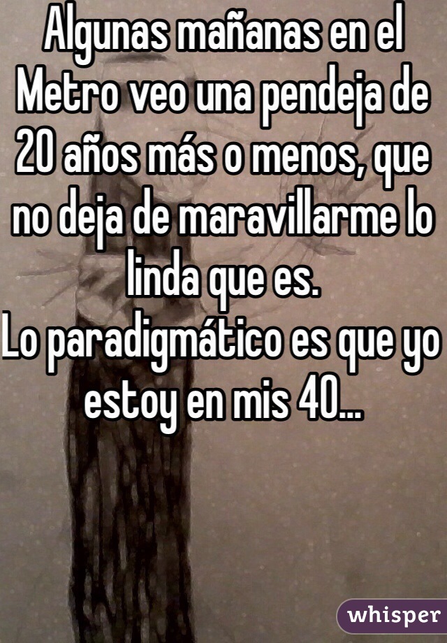 Algunas mañanas en el Metro veo una pendeja de 20 años más o menos, que no deja de maravillarme lo linda que es.
Lo paradigmático es que yo estoy en mis 40...