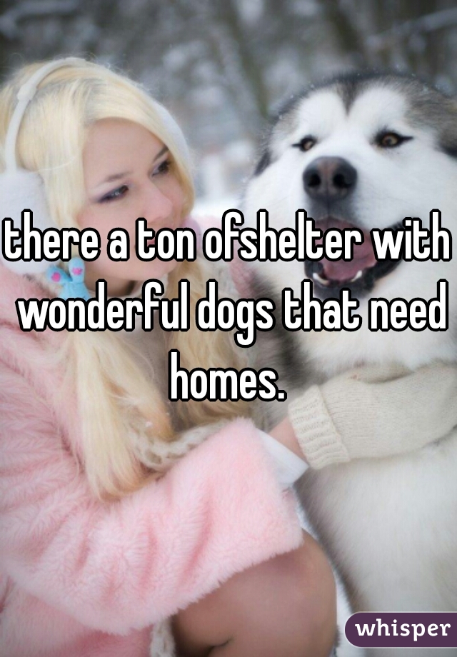 there a ton ofshelter with wonderful dogs that need homes. 