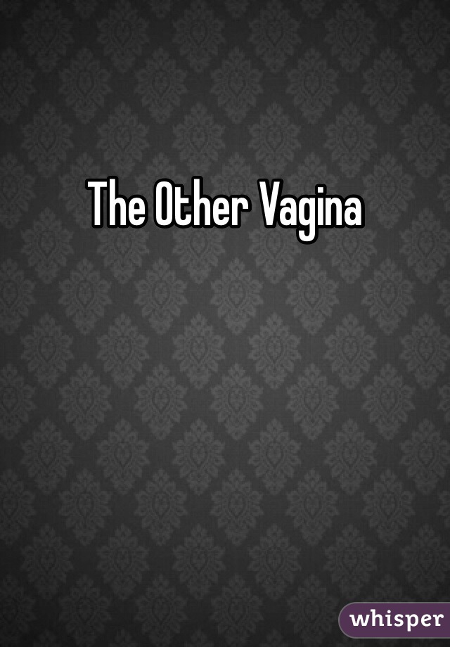 The Other Vagina 