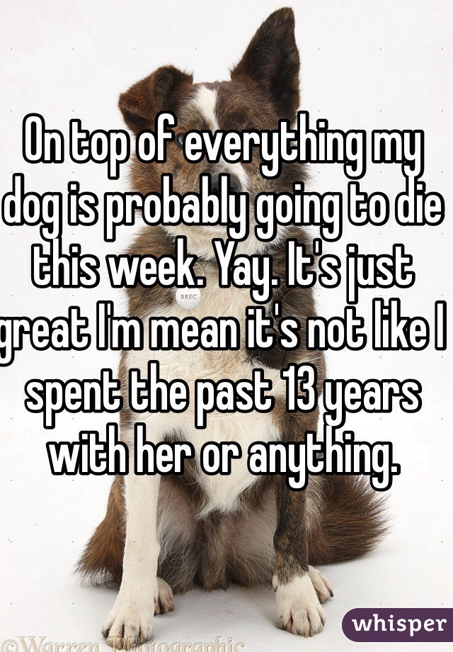 On top of everything my dog is probably going to die this week. Yay. It's just great I'm mean it's not like I spent the past 13 years with her or anything.