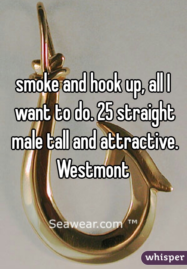 smoke and hook up, all I want to do. 25 straight male tall and attractive. Westmont 