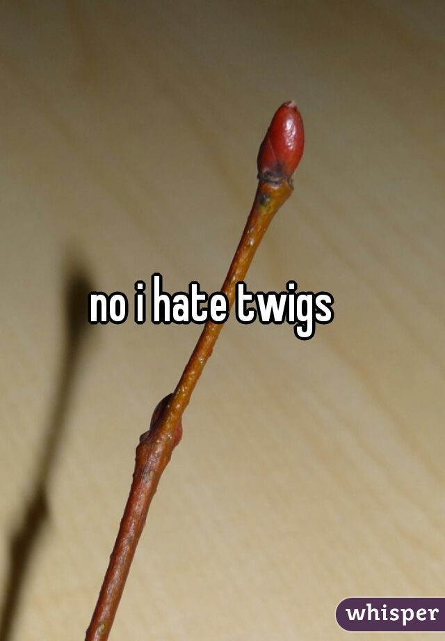 no i hate twigs  