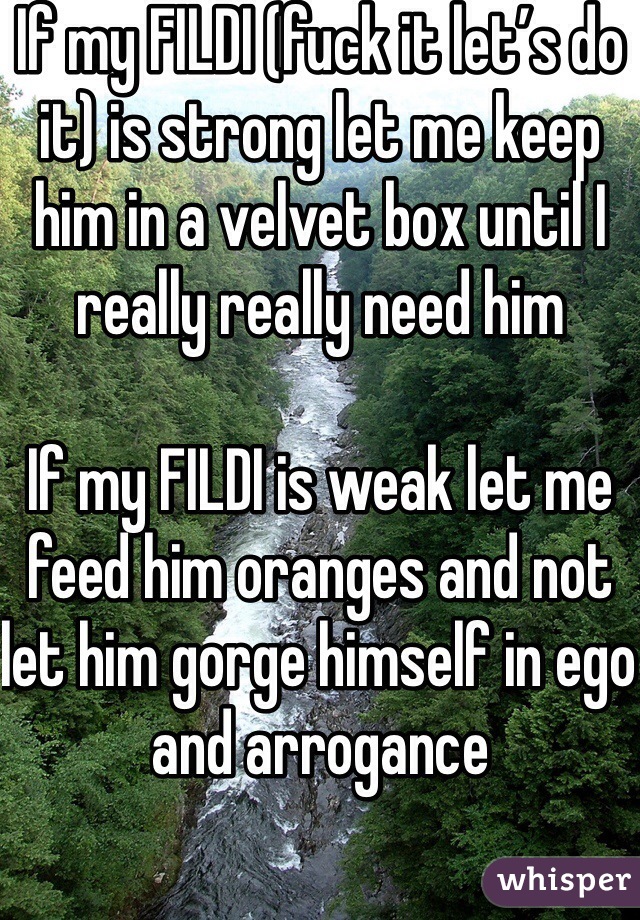 If my FILDI (fuck it let’s do it) is strong let me keep him in a velvet box until I really really need him

If my FILDI is weak let me feed him oranges and not let him gorge himself in ego and arrogance