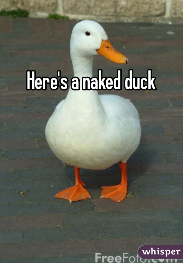 Here's a naked duck