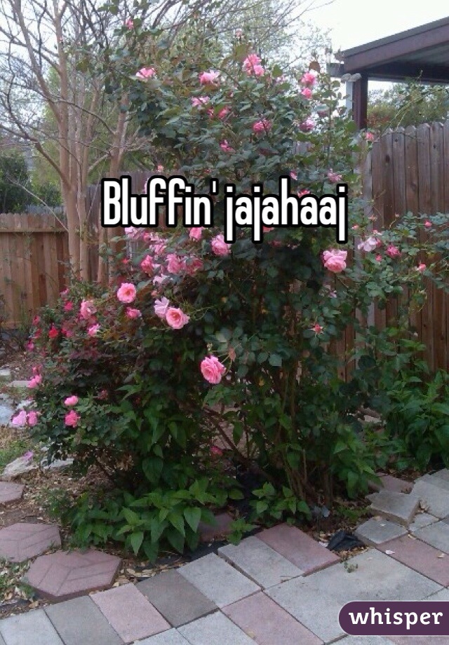 Bluffin' jajahaaj