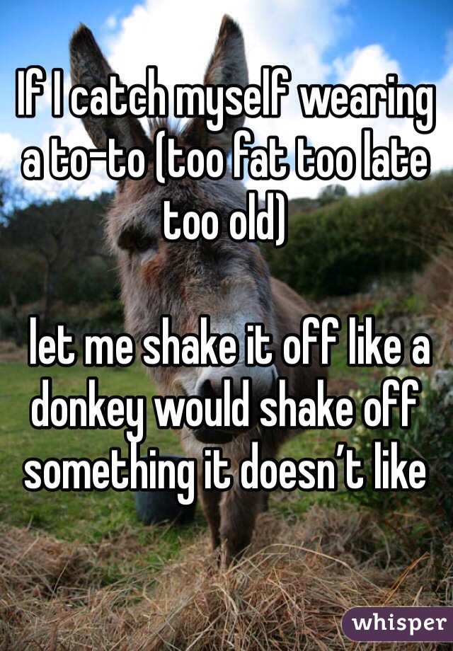 If I catch myself wearing a to-to (too fat too late too old)

 let me shake it off like a donkey would shake off something it doesn’t like