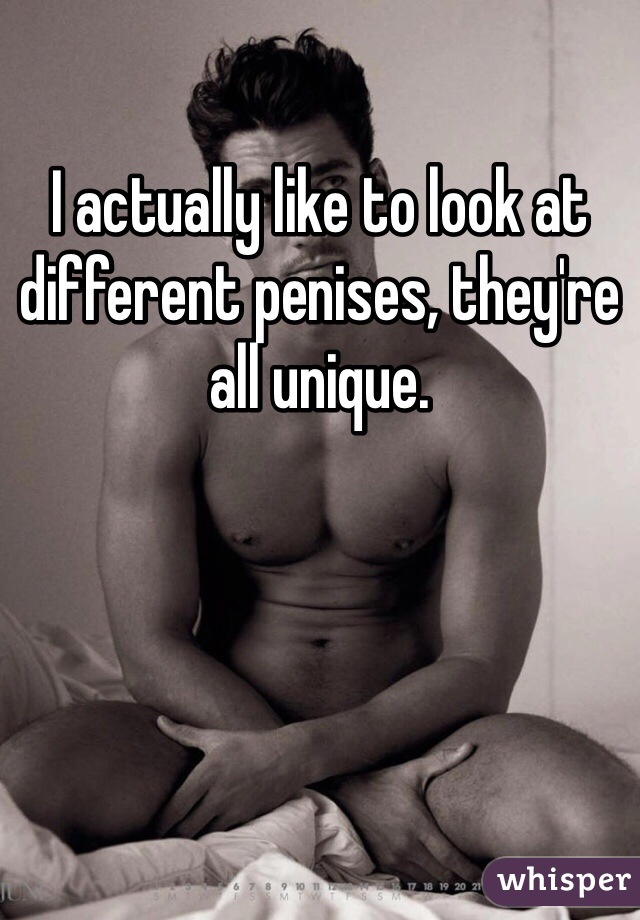 I actually like to look at different penises, they're all unique. 