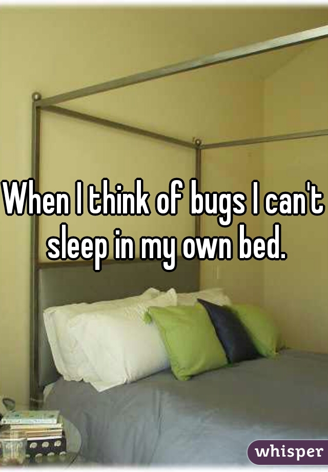 When I think of bugs I can't sleep in my own bed.