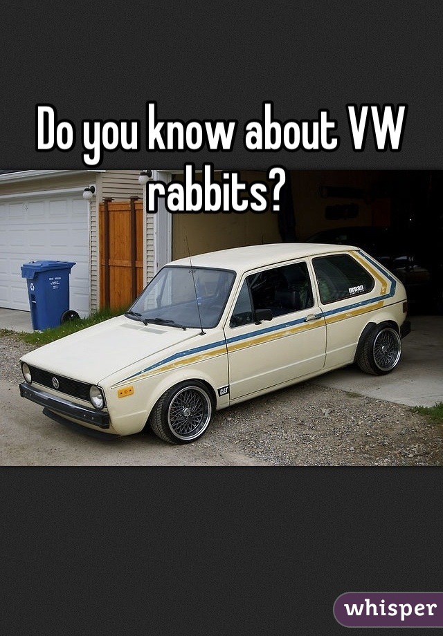 Do you know about VW rabbits? 