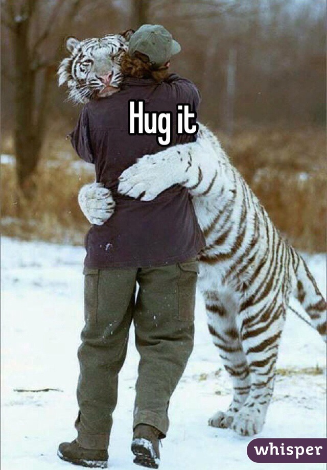 Hug it 