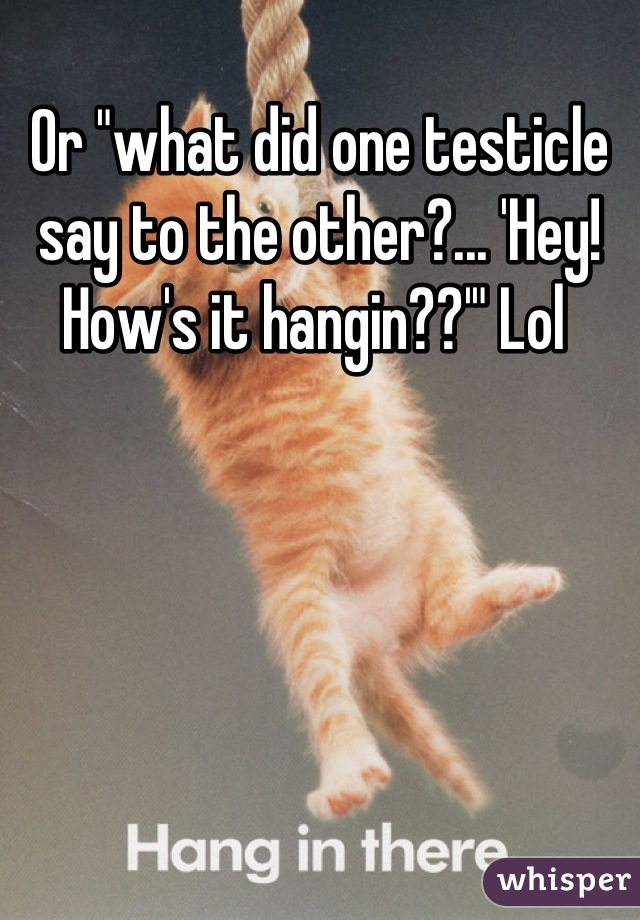 Or "what did one testicle say to the other?... 'Hey! How's it hangin??'" Lol 