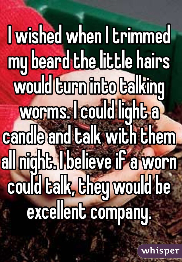 I wished when I trimmed my beard the little hairs would turn into talking worms. I could light a candle and talk with them all night. I believe if a worn could talk, they would be excellent company.