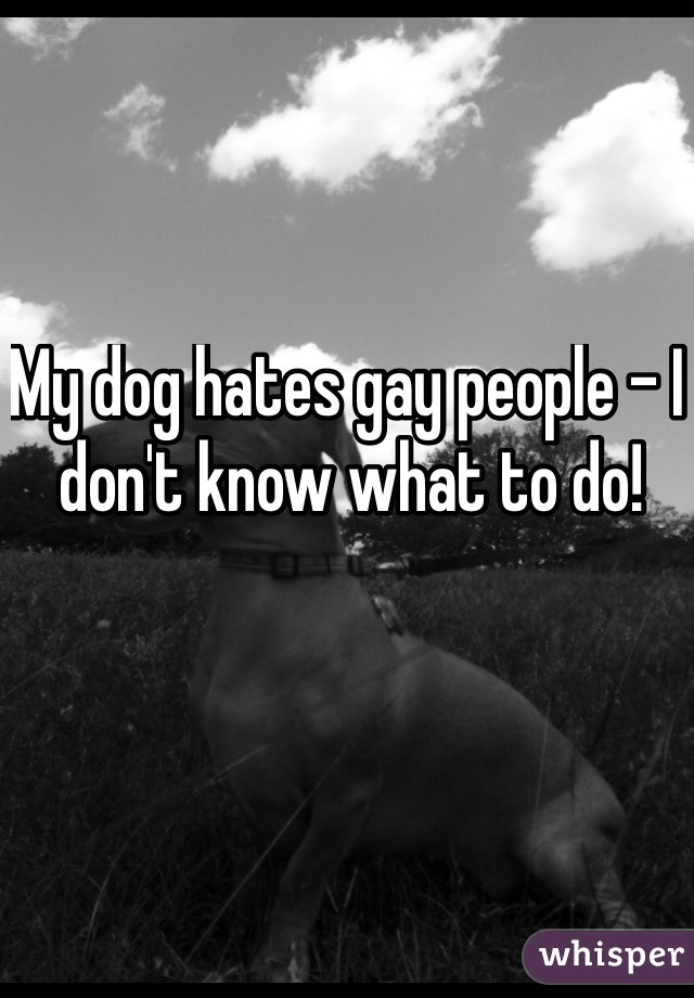 My dog hates gay people - I don't know what to do! 