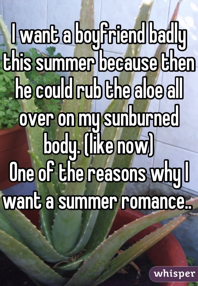 I want a boyfriend badly this summer because then he could rub the aloe all over on my sunburned body. (like now) 
One of the reasons why I want a summer romance.. 