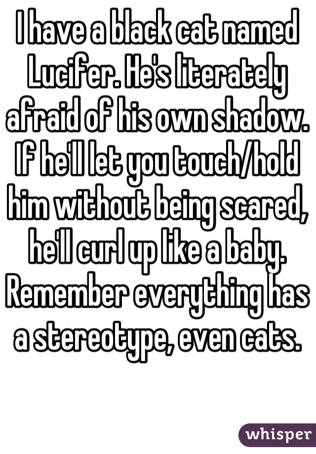 I have a black cat named Lucifer. He's literately afraid of his own shadow. If he'll let you touch/hold him without being scared, he'll curl up like a baby. Remember everything has a stereotype, even cats.