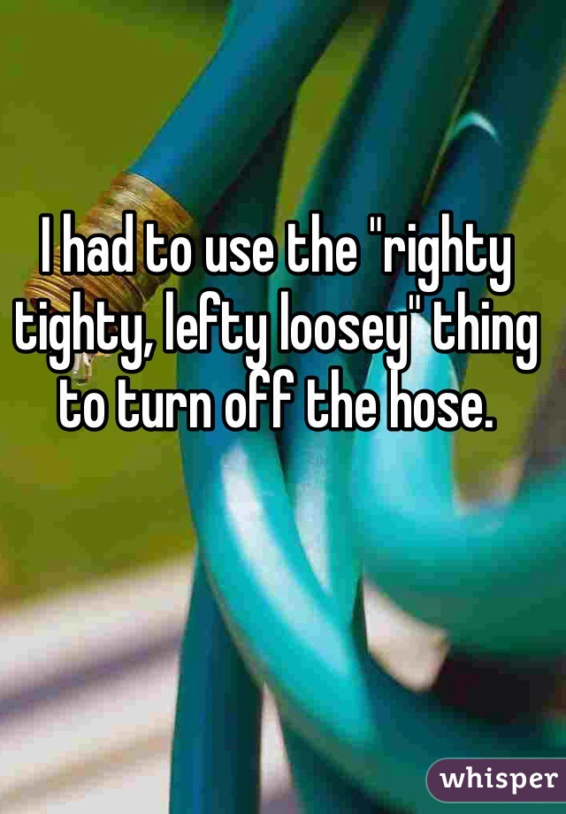 I had to use the "righty tighty, lefty loosey" thing to turn off the hose. 