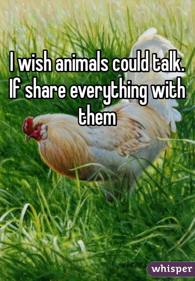 I wish animals could talk. If share everything with them 