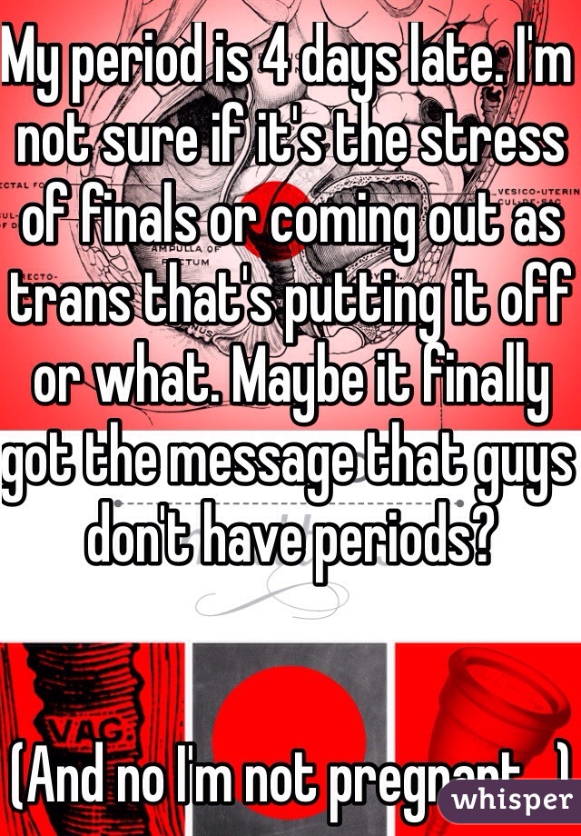 My period is 4 days late. I'm not sure if it's the stress of finals or coming out as trans that's putting it off or what. Maybe it finally got the message that guys don't have periods?


(And no I'm not pregnant...)