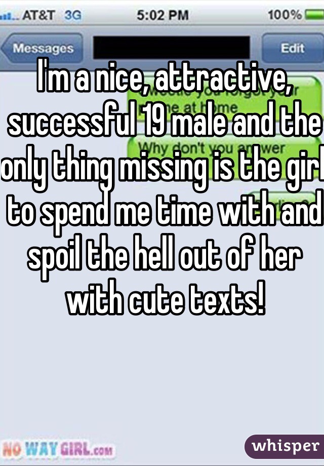 I'm a nice, attractive, successful 19 male and the only thing missing is the girl to spend me time with and spoil the hell out of her with cute texts!