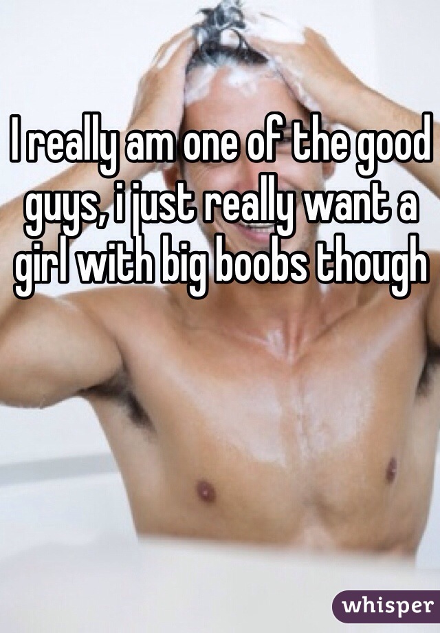 I really am one of the good guys, i just really want a girl with big boobs though