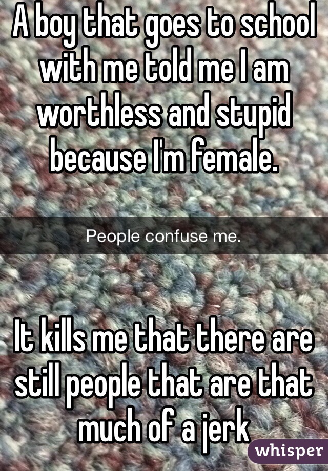 A boy that goes to school with me told me I am worthless and stupid because I'm female.



It kills me that there are still people that are that much of a jerk