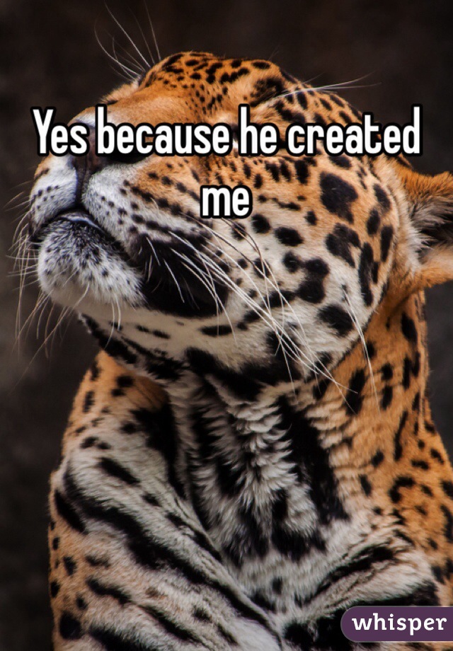 Yes because he created me