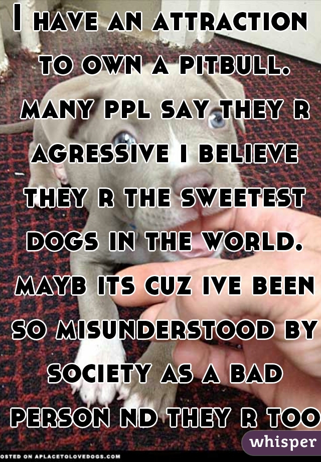 I have an attraction to own a pitbull. many ppl say they r agressive i believe they r the sweetest dogs in the world. mayb its cuz ive been so misunderstood by society as a bad person nd they r too.