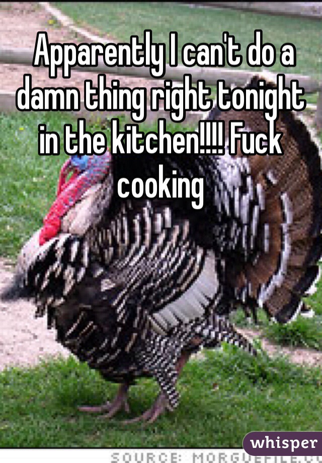  Apparently I can't do a damn thing right tonight in the kitchen!!!! Fuck cooking