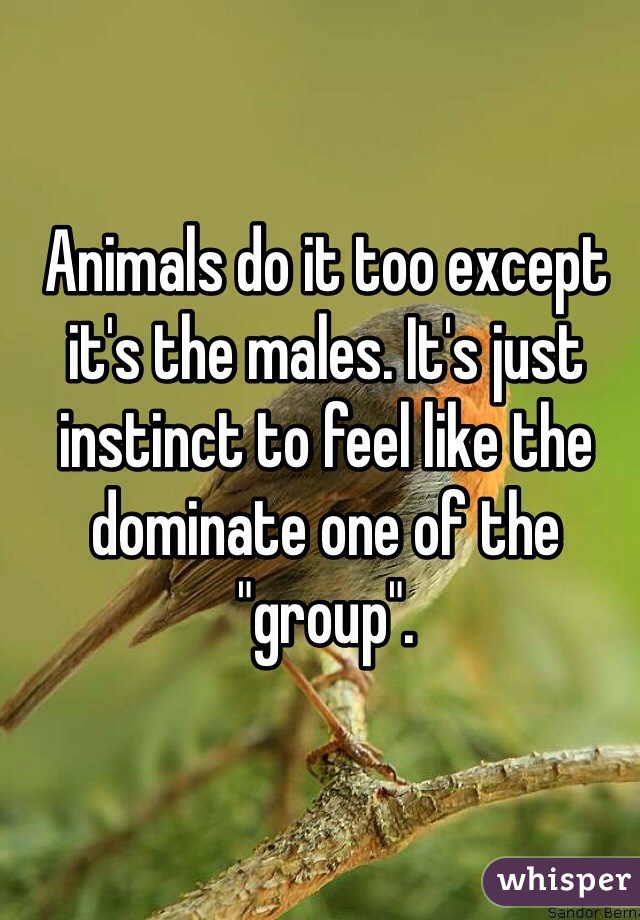 Animals do it too except it's the males. It's just instinct to feel like the dominate one of the "group".  