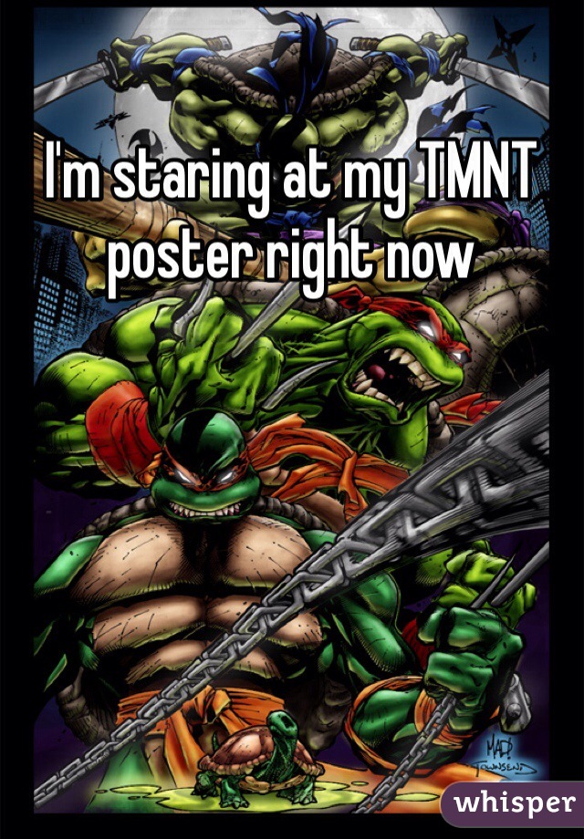 I'm staring at my TMNT poster right now 