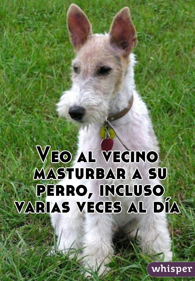 Veo al vecino masturbar a su perro, incluso varias veces al día 