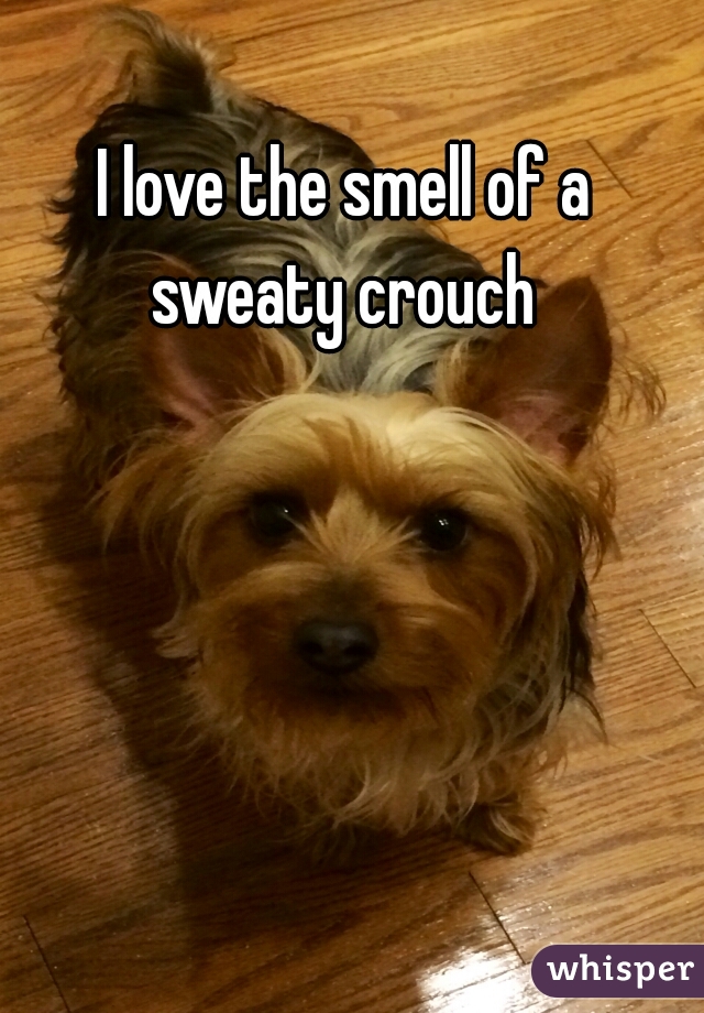 I love the smell of a sweaty crouch 