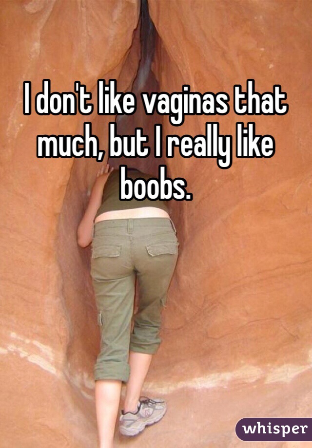 I don't like vaginas that much, but I really like boobs.
