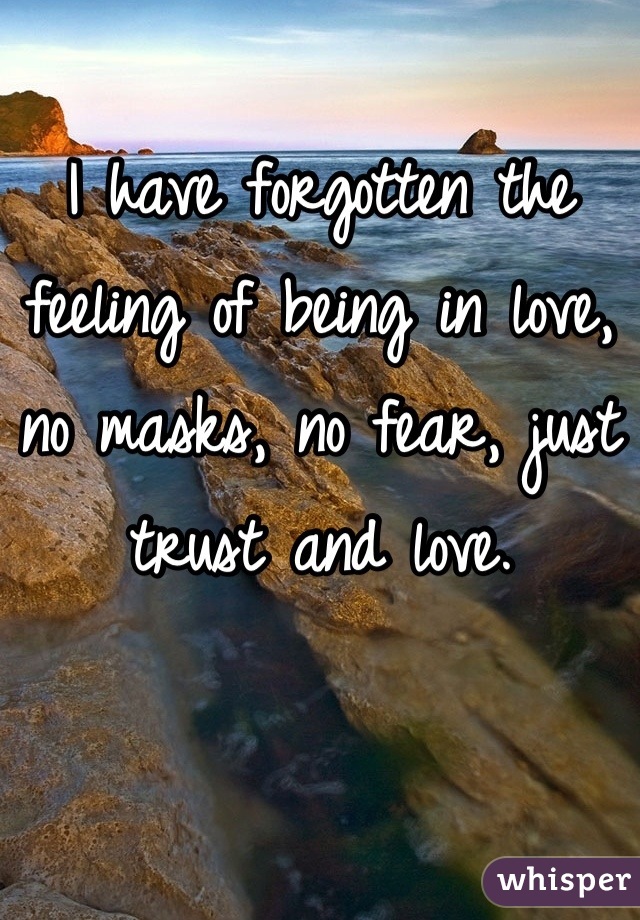 I have forgotten the feeling of being in love, no masks, no fear, just trust and love.