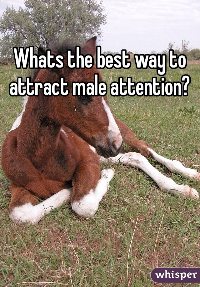 Whats the best way to attract male attention? 